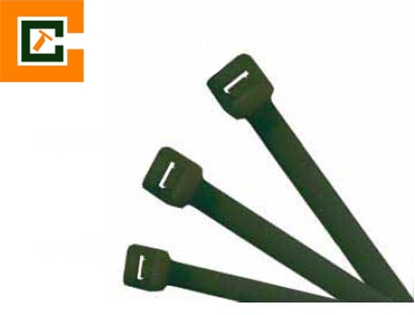 Picture of Plastic Cable Tie CCT-3X100-B