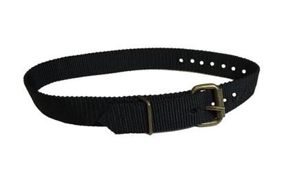 Picture of Safety Ladder Strap   CCT-483