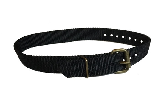 Safety Ladder Strap CCT-483