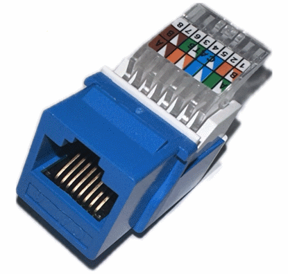 Picture of Cat6 Keystone Jack Toolless CCT-CAT6-BL-TL
